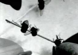 Bigas Luna, Necklace of Flies (Collar de Moscas), 2002, video